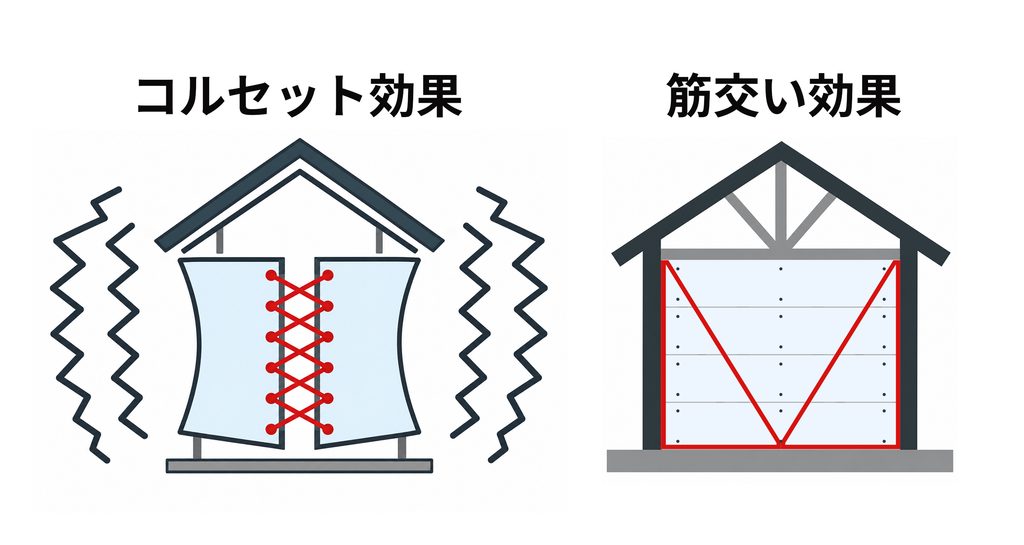 コルセット効果と筋交い効果